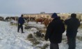 /album/fotogalereya-rabota-uchrezhdeniya/a20150120-103713-jpg/