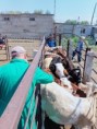 /album/fotogalereya-rabota-uchrezhdeniya/img-20220801-wa0017-jpg/