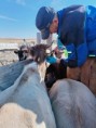 /album/fotogalereya-rabota-uchrezhdeniya/img-20220913-wa0007-jpg/