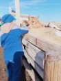 /album/fotogalereya-rabota-uchrezhdeniya/img-20220913-wa0013-jpg/